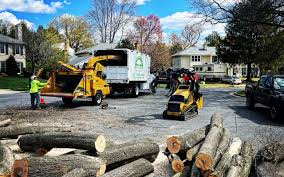 Best Sod Installation  in Carteret, NJ